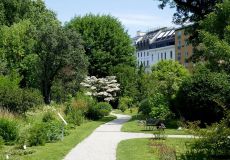 Botanischer Garten Universität Wien / Naschgarten