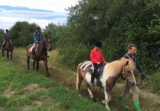 Kindertraum Gut Sonnenhof – Pferde & Reiter Resort