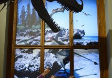 Naturhistorisches Museum Wien
